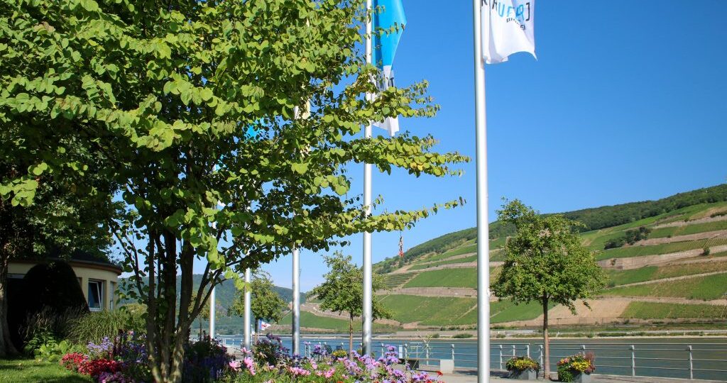 Rheinufer Bingen